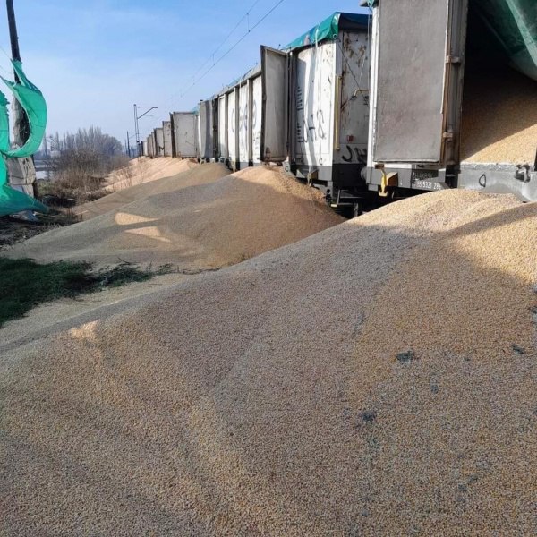 В Полша разпръснаха украинско зърно за четвърти път за месец, унищожени са 160 тона