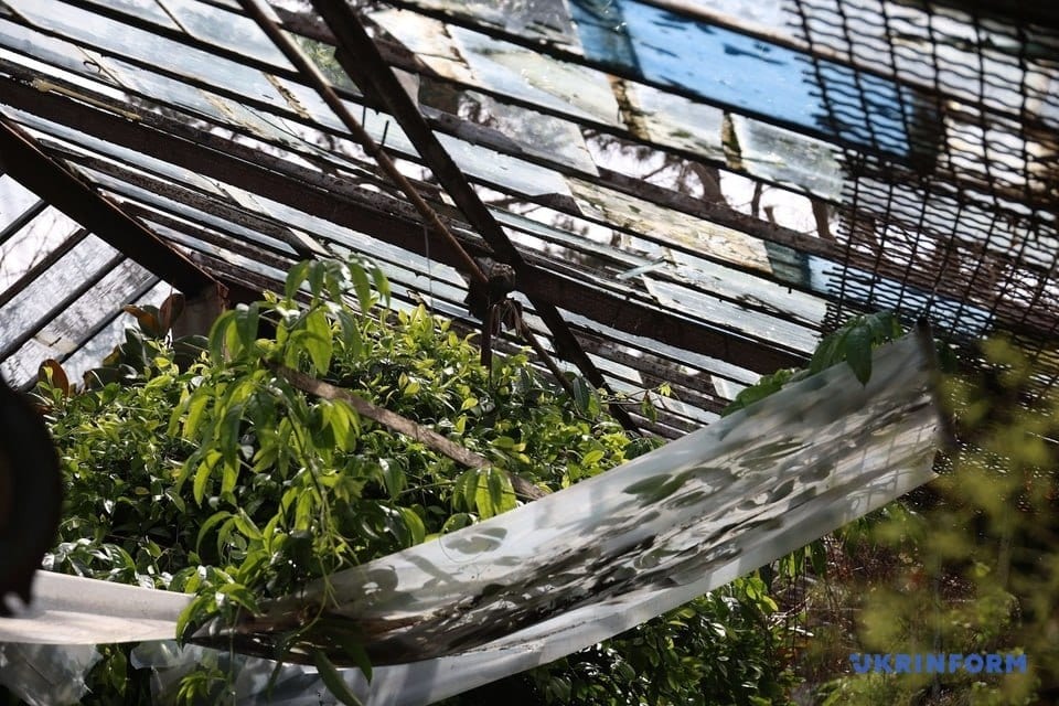В Одеса в резултат на ракетна атака срещу почивна база вечерта на 25 март бяха повредени административната сграда, оранжериите и лабораторията на ботаническата градина