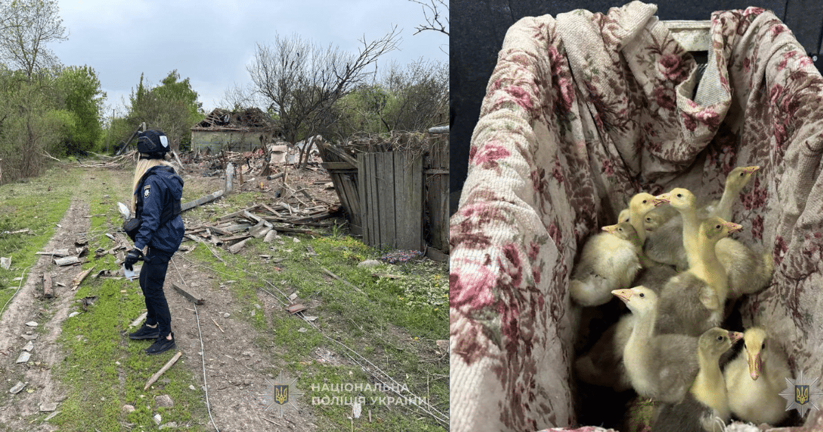 Полицаи евакуираха 67-годишна жена с гъсета от подложено на обстрели село в Сумска област