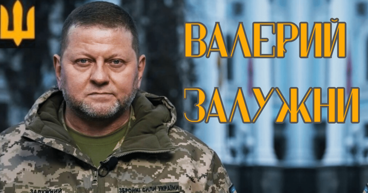 Валерий Залужни: Политика и война. Реалност срещу очаквания